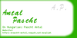 antal pascht business card